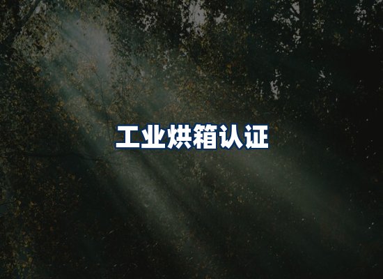 CE认证咨询服务场景